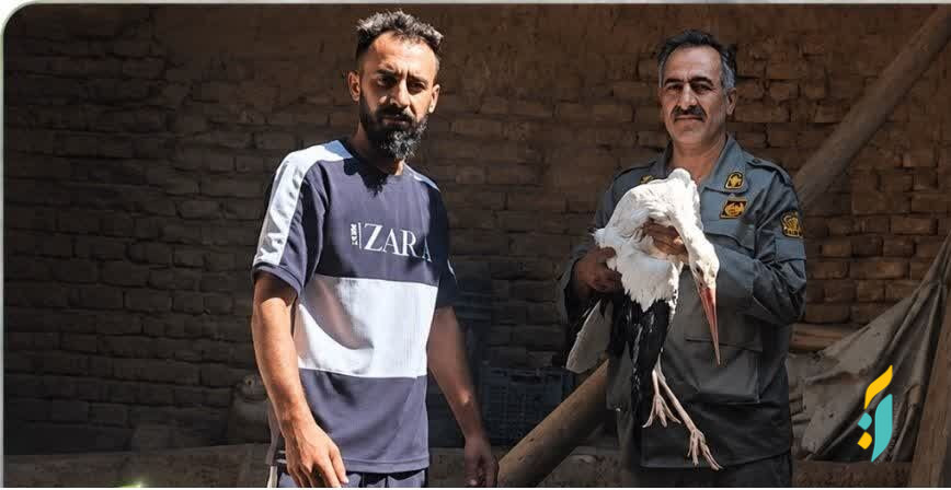 امداد رسانی به لک لک آسیب دیده در روستای سهلان تبریز