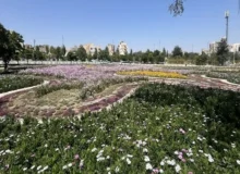 شکوفائی چشمنواز باغ گل مجموعه تاریخی و تفریحی ائل گلی