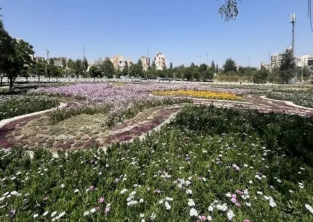 شکوفائی چشمنواز باغ گل مجموعه تاریخی و تفریحی ائل گلی