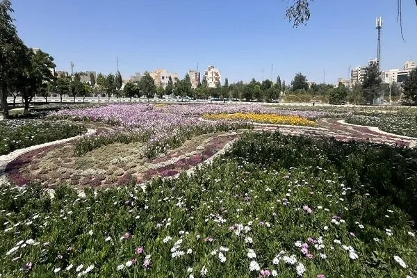 شکوفائی چشمنواز باغ گل مجموعه تاریخی و تفریحی ائل گلی