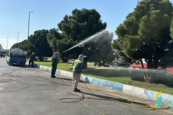 تداوم سمپاشی برای مقابله با بیماریها و آفات ویژه سوزنی برگان سطح شهر