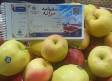 تخفیف ۲۰ درصدی هتل‌های مراغه برای جشنواره سیب